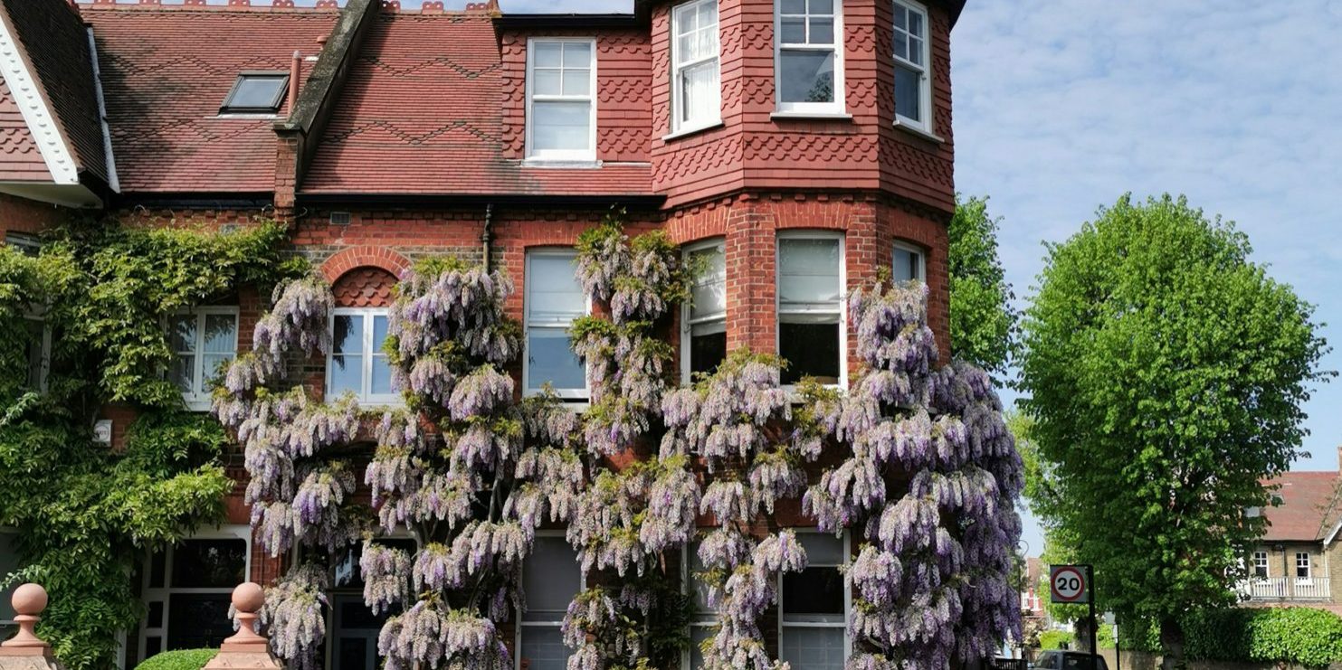 dan-loftus-QEwzj7NwkhU-unsplash